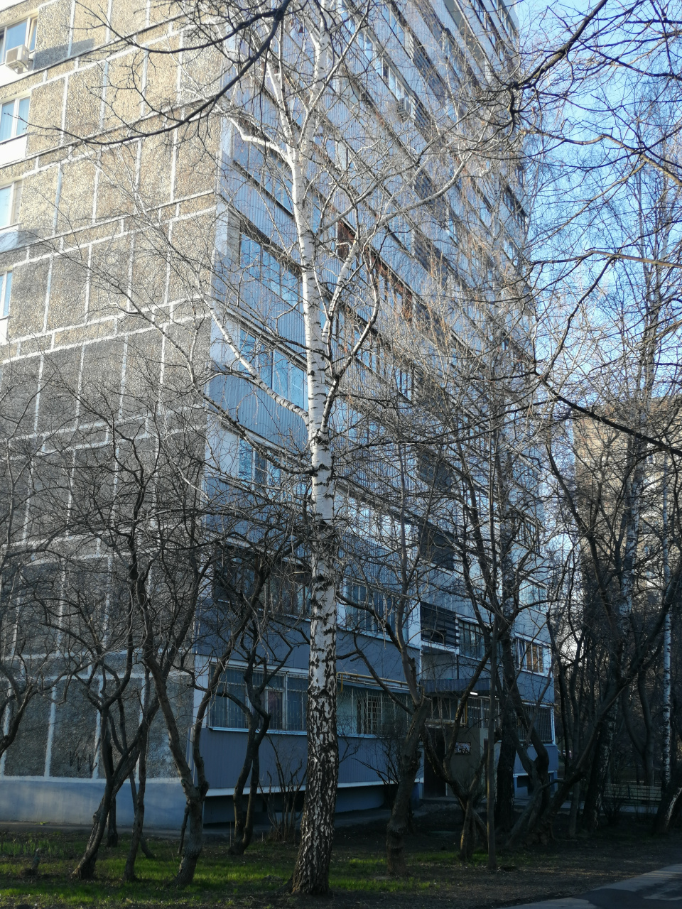 2-комнатная квартира, 37.8 м² - фото 2