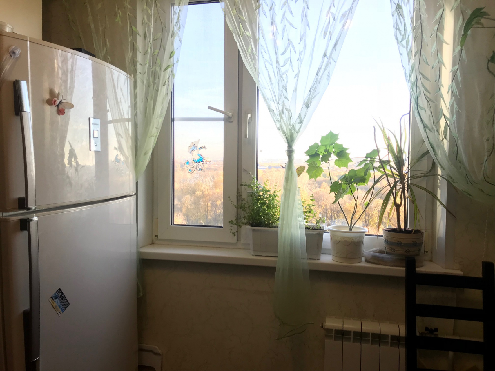 2-комнатная квартира, 50.3 м² - фото 11