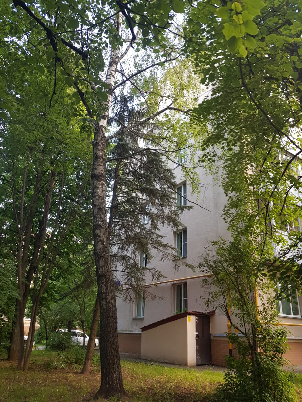 2-комнатная квартира, 45 м² - фото 4