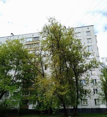 3-комнатная квартира, 59.3 м² - фото 3