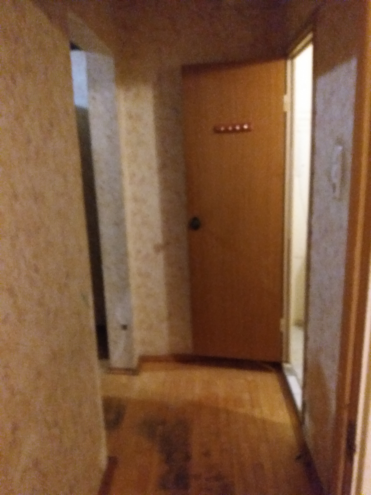 2-комнатная квартира, 51.1 м² - фото 5