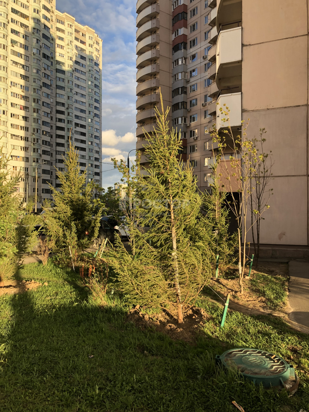 3-комнатная квартира, 78.4 м² - фото 10