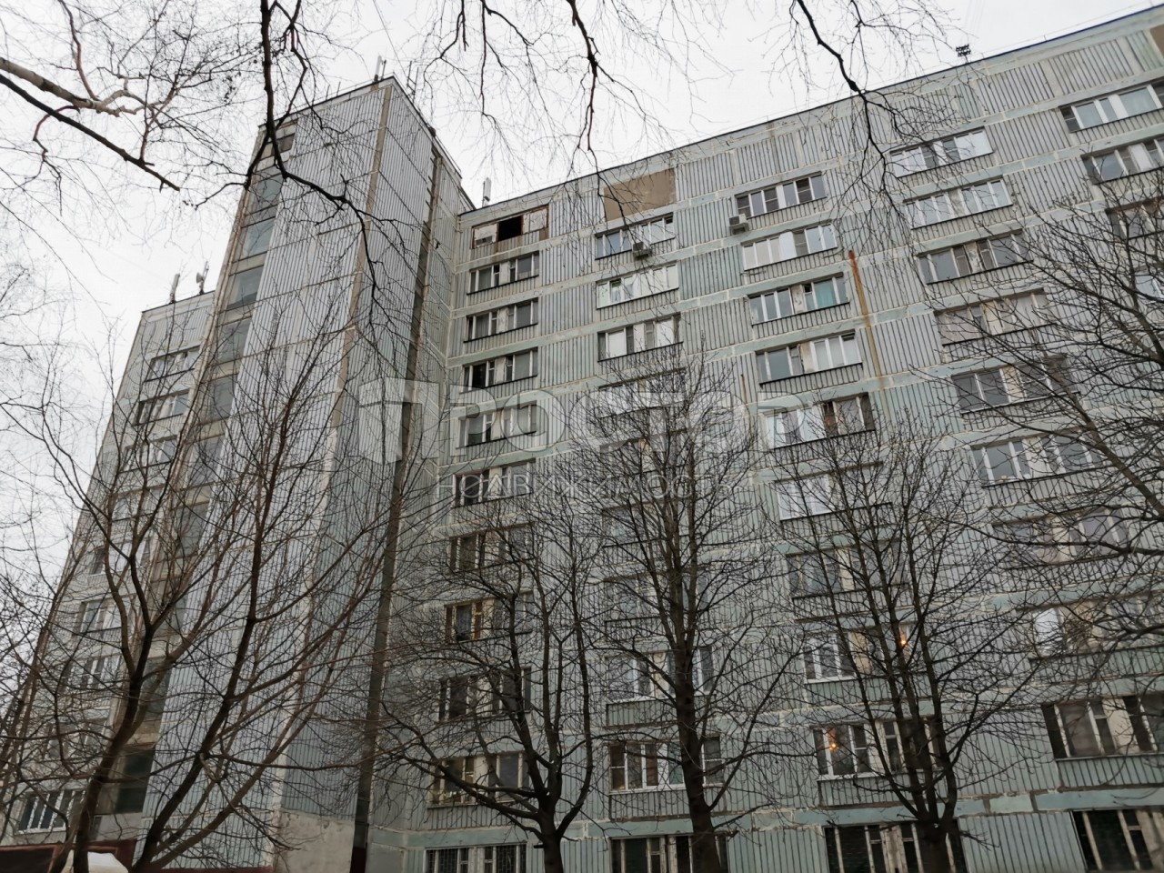 1-комнатная квартира, 19.7 м² - фото 2