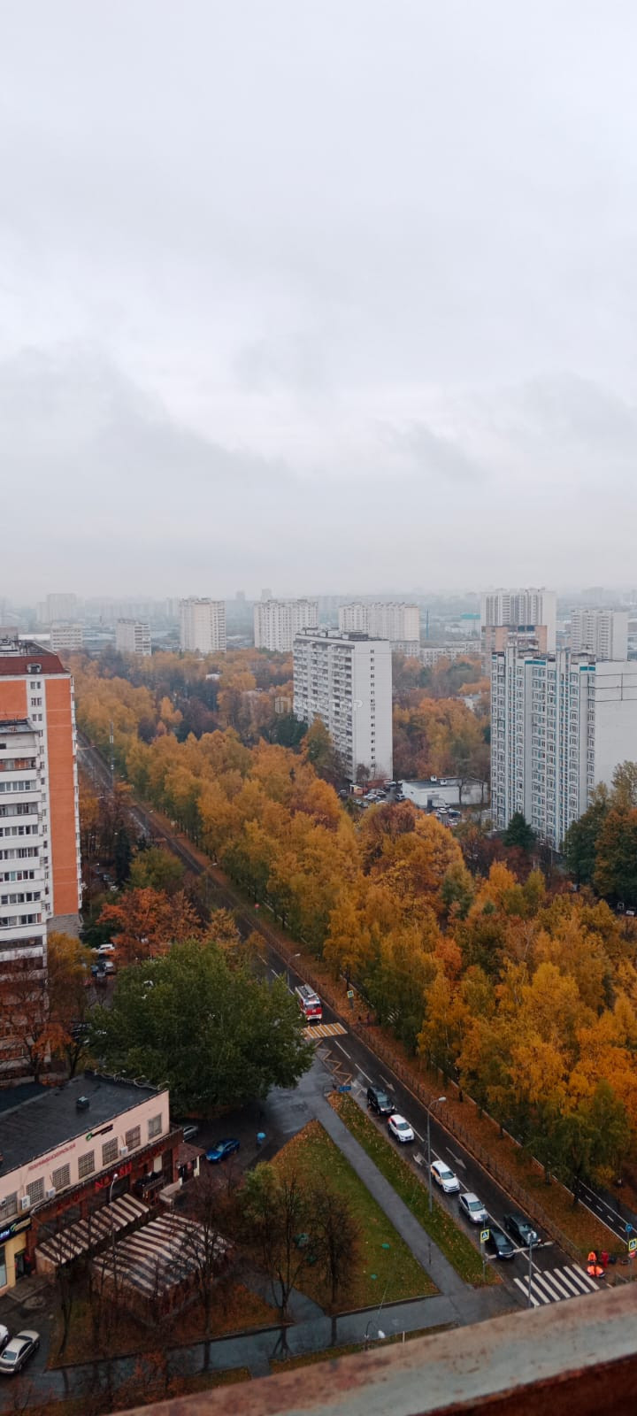 3-комнатная квартира, 76 м² - фото 3