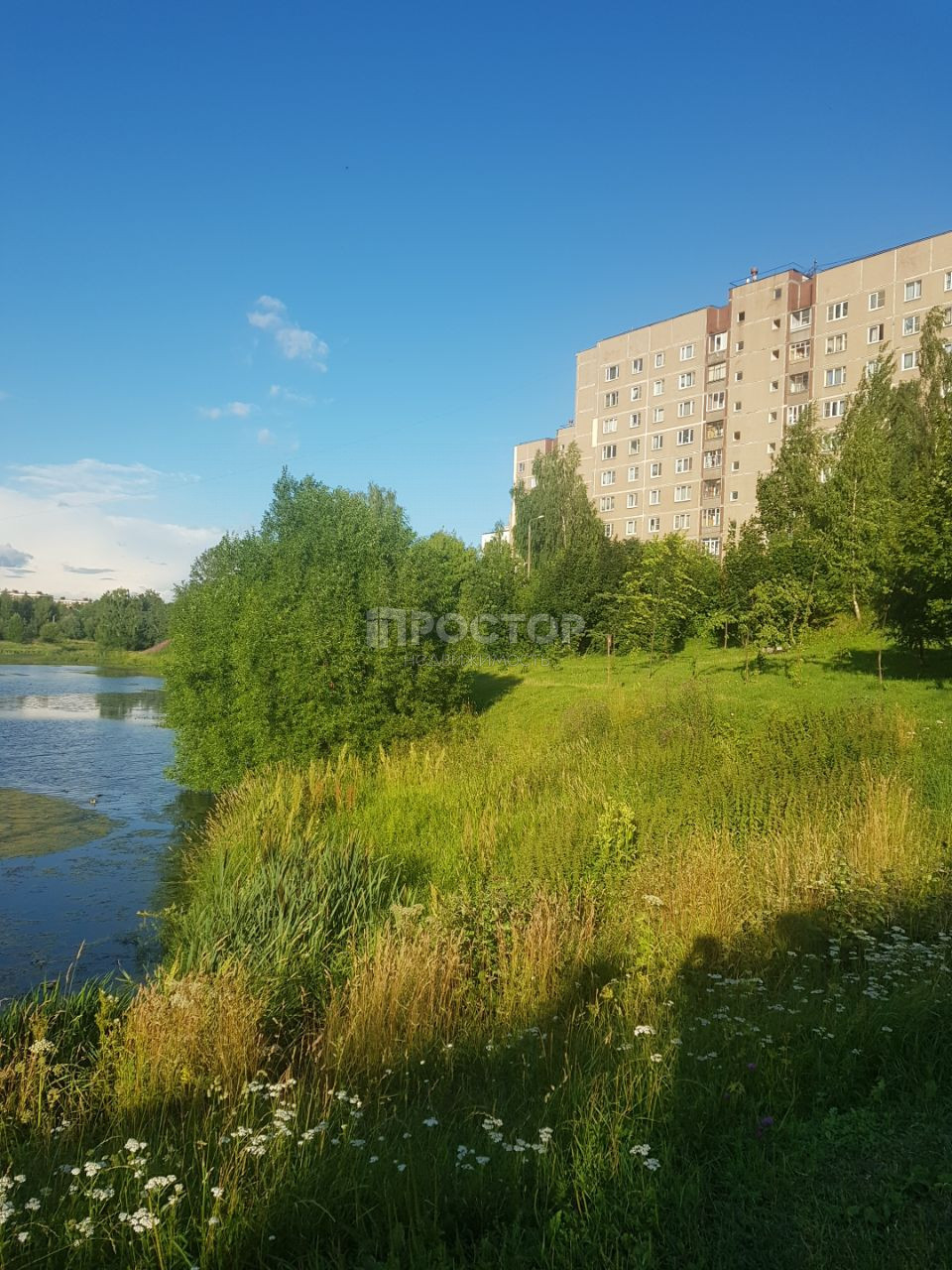 3-комнатная квартира, 81.8 м² - фото 4