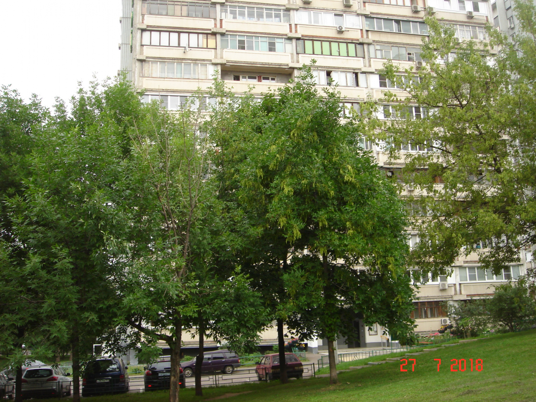 3-комнатная квартира, 67 м² - фото 21