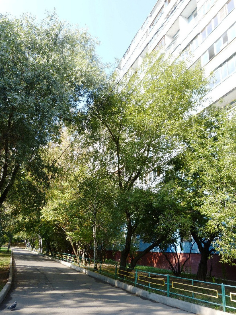 1-комнатная квартира, 42.9 м² - фото 14