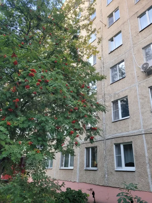 1-комнатная квартира, 32.6 м² - фото 2