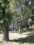 1-комнатная квартира, 31.7 м² - фото 41