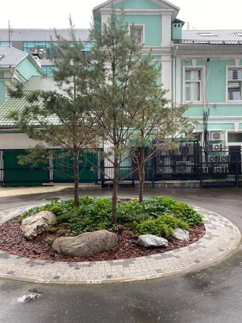 Машиноместо, 13.25 м² - фото 4