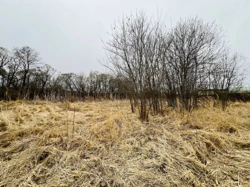 Участок, 6 сот. - фото 7