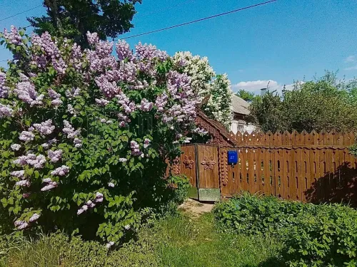 Участок, 25 сот.