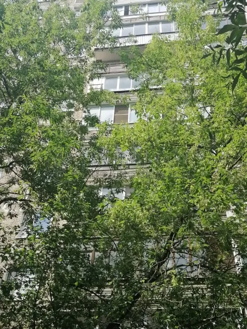 2-комнатная квартира, 40.3 м² - фото 25